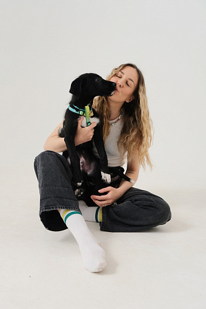 Фотосессия с питомцем